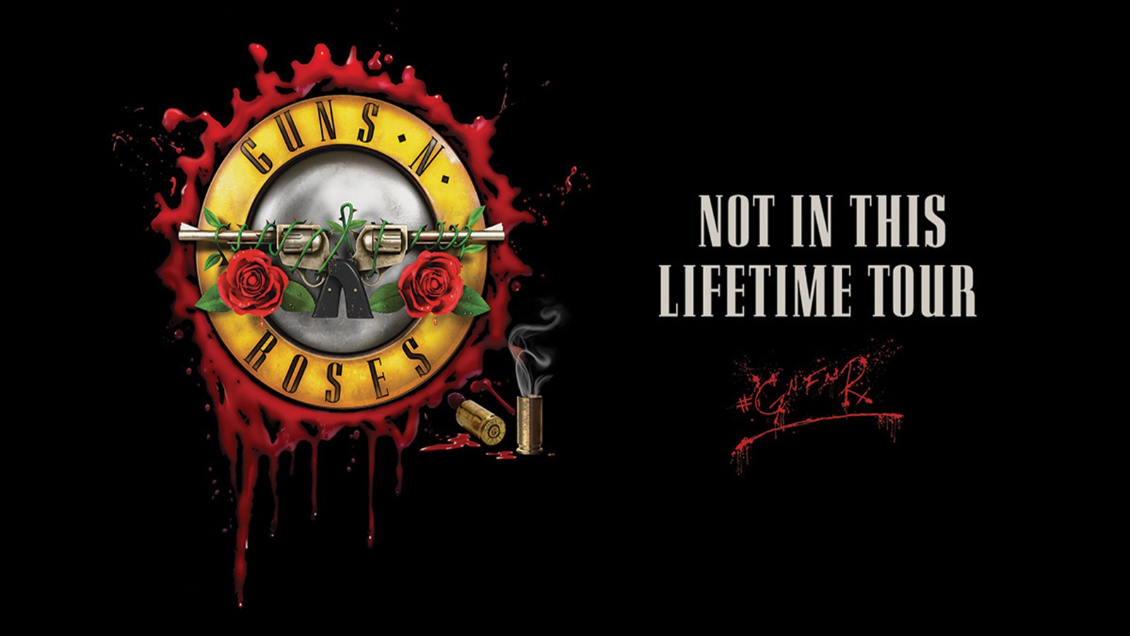 Image result for guns n' roses not in this lifetime tour